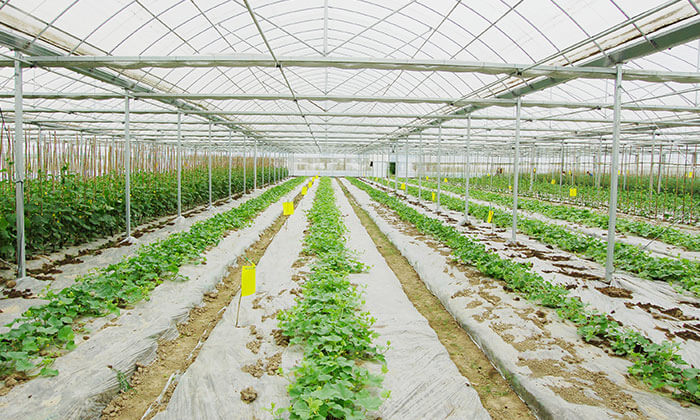 Agriculture and Infrastructure